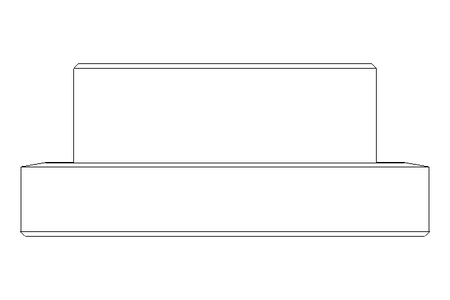 Raccord fileté SC DN65 1.4404 DIN11851