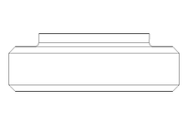 Raccord fileté SKC DN40 1.4301 DIN11851