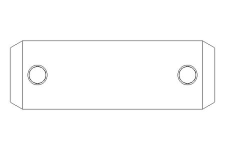 Bolt ISO2340 20x60 A2