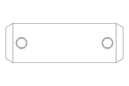 Bolt ISO2340 20x60 A2