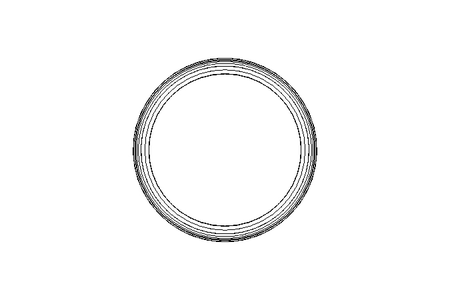 轴密封件环 A 100x120x12 FPM DIN3760