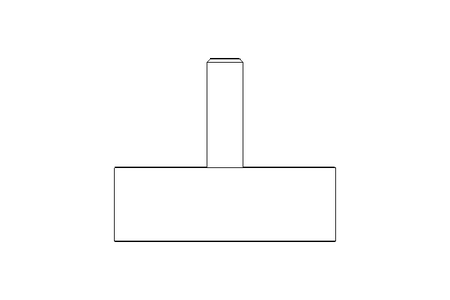 Amortecedor   75.0/25 M12X37