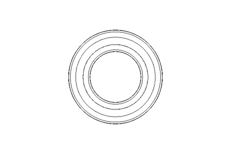 Cuscin.scanalato a sfera 6006 RS 30x55