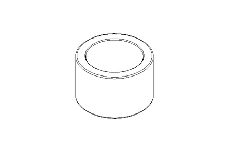 Внутреннее кольцо IR 15x20x13