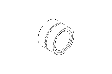 Needle roller bearing RNA6905 30x42x30