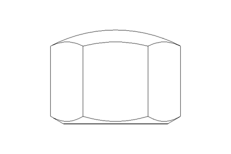 Ecrou borgne hexagonal M16 A2 DIN917