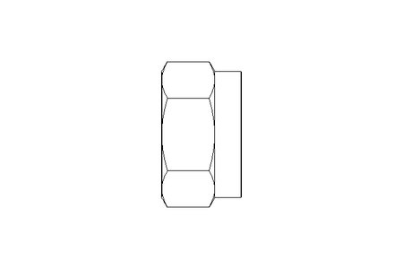 Hexagon nut M12 St-Zn DIN985