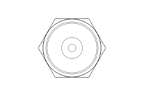 Schmiernippel AR1/8" A2 DIN 71412