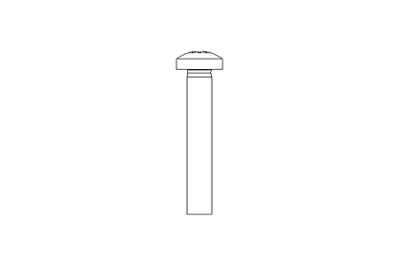 Linsenschraube M5x30 A2 ISO7045