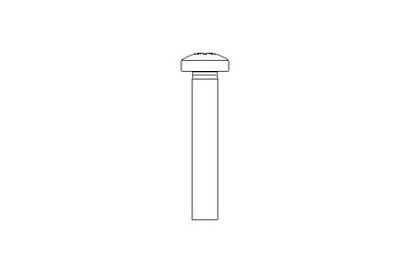 Linsenschraube M5x30 A2 ISO7045