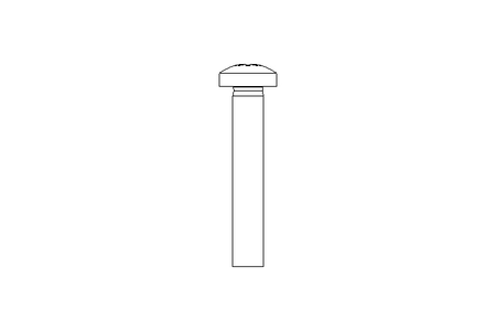 Fillister head screw M5x30 A2 ISO7045