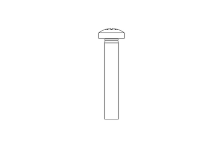 Linsenschraube M5x30 A2 ISO7045