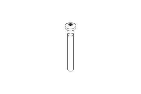 Linsenschraube M5x45 A2 ISO7045