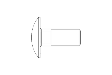 Vis à tête bombée M12x30 DIN603