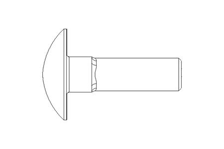 Round head screw M6x20 A2 DIN603