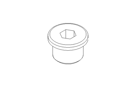 SCREW PLUG R  3/8 Z A2 DIN 908