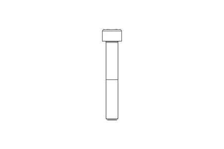 Vis cyl. M8x55 A2 70 DIN912