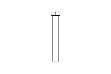 Tornillo cab. hexag. M10x80 A2 70