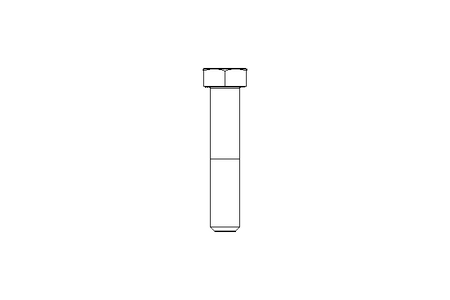 Tornillo cab. hexag. M12x60 A2 70