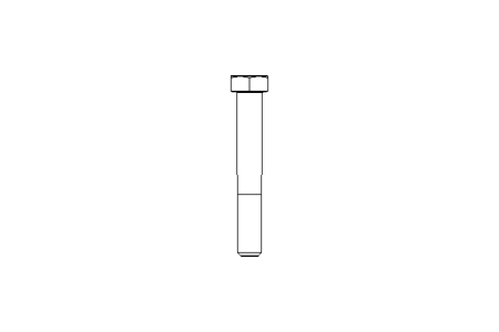 Tornillo cab. hexag. M12x80 8,8 ISO4014