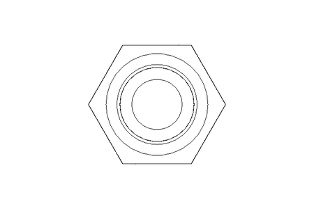 Hexagon screw M5x12 8.8 ISO4017