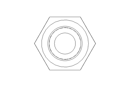Hexagon screw M6x30 8.8 ISO4017