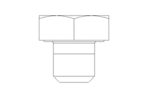 Hexagon screw M10x10 A2 70 ISO4017