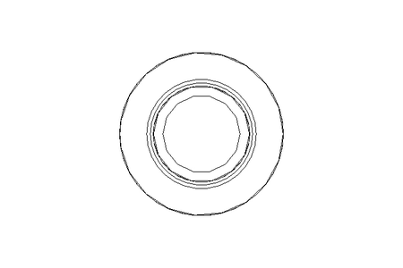 Cap screw M5x60 A2 70 DIN6912