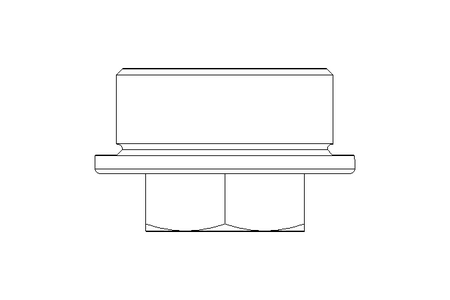 Verschlussschraube C M30x1,5ST DIN7604