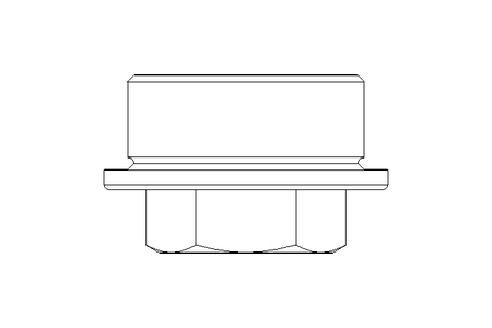 Verschlussschraube C M30x1,5ST DIN7604