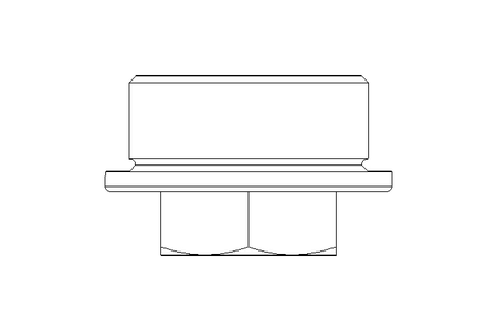 Verschlussschraube C M30x1,5ST DIN7604