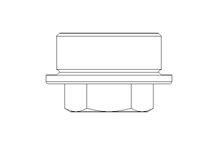 Verschlussschraube C M30x1,5ST DIN7604