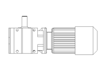 Motor engrenagem sem fim 0,25kW 9,5