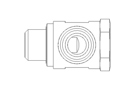 Schwenkverschraubung G1/4 DN10 St-Zn