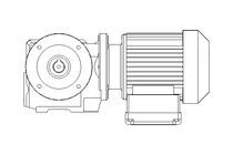 Schneckengetriebemotor 0,25kW 30 1/min