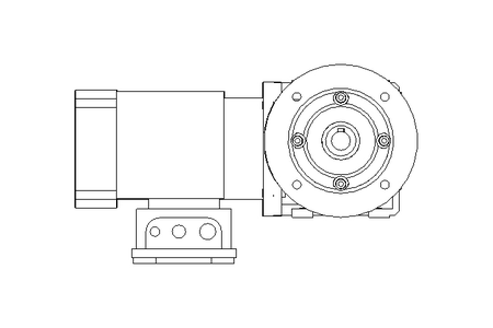 Worm gear motor 0.37kW 228 1/min