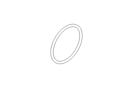 O-ring 24x1.5 FPM