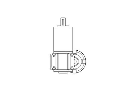 螺杆齿轮速电机 0,11kW