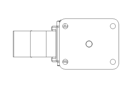 Castor 100x40 350kg