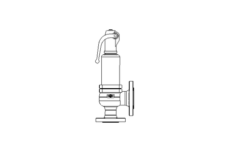 Sicherheitsventil DN32/50