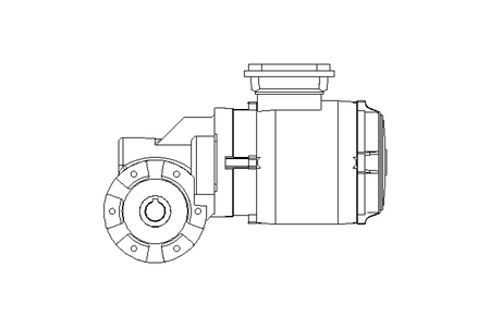 螺杆齿轮速电机 0,55kW 46 1/min