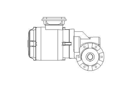 螺杆齿轮速电机 0,55kW 46 1/min