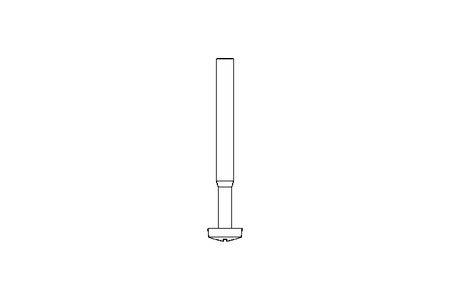 Linsenschraube M2,5x25 A2 ISO7045