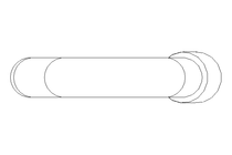 CARBINER HOOK 70x7 SCREW  LOCK