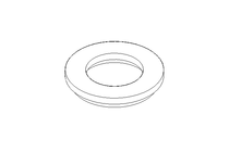 GASKET FGN1 DN 15  FPM  (VITON)