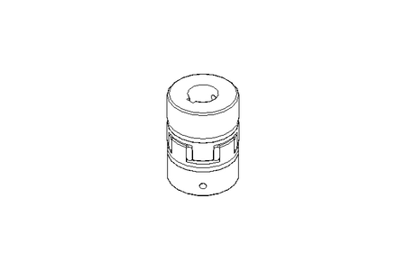 Rotex-Kupplung GS38