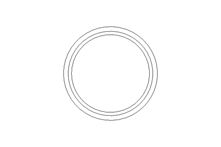 Glasverschluss/Verschlussring TSOE DN100