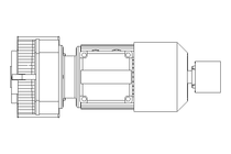 Gear motor 0.25kW 69 1/min