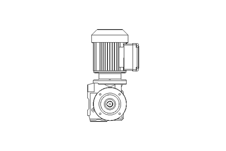 Worm gear motor 0.25kW 45 1/min