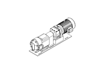 Kreiskolbenpumpe Waukesha Typ U2 - 320